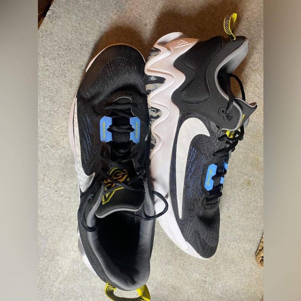 Nike Giannis basketball shoes